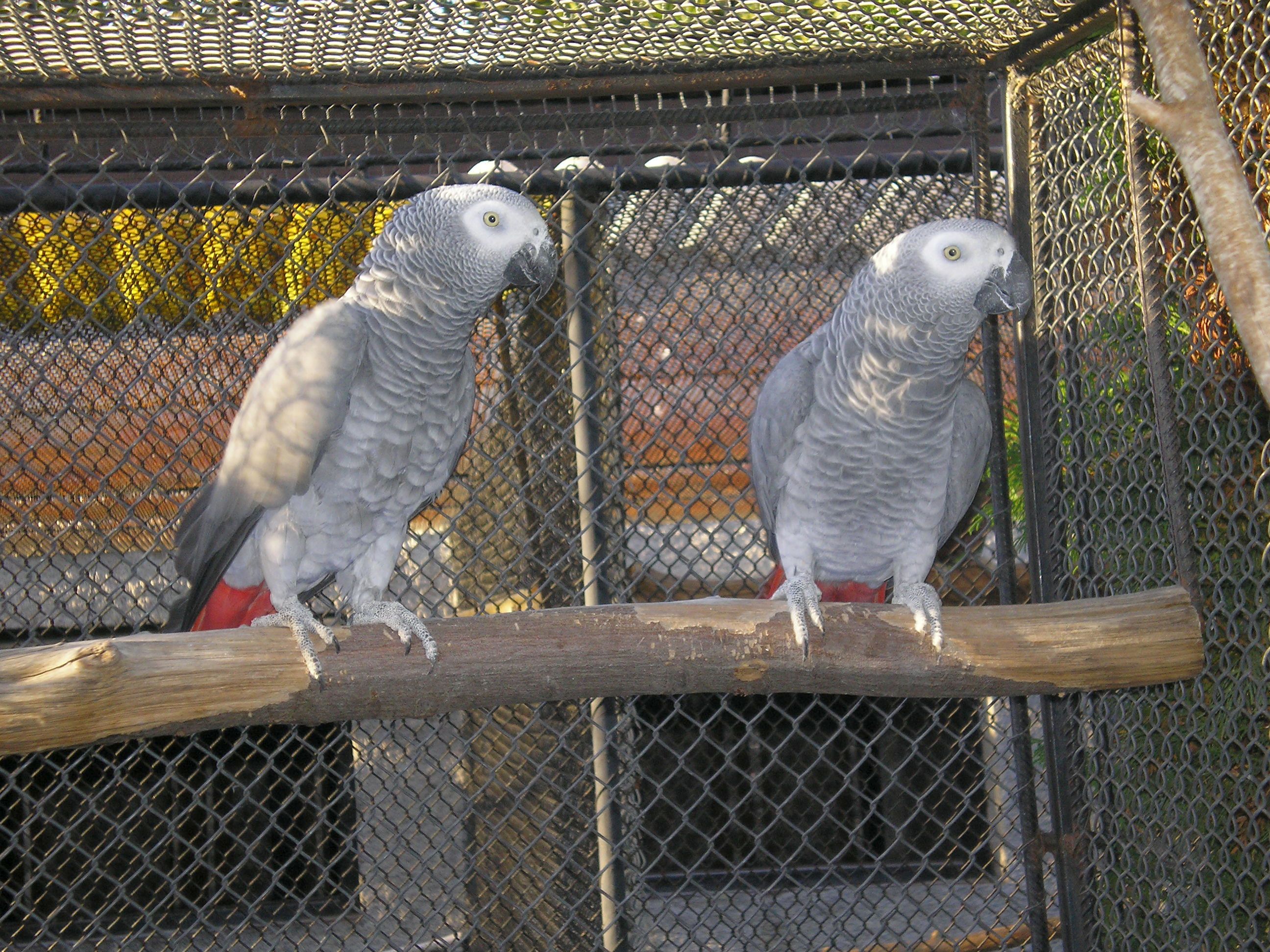PA080005